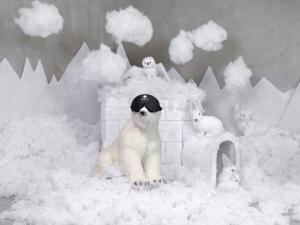 Kurzy EOV - Veovision